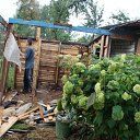  ,  , 42  -  11  2011    2011