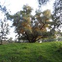 ���� �������!, �������������, 42 ���� - ��������� 20 ������� 2013 � ������ ���� ����������