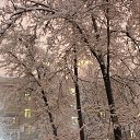 ���� ������, ������, 47 ��� - ��������� 4 ������� 2013 � ������ �������� ������