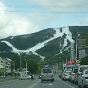 ���� ���������, ������������, 49 ��� - ��������� 8 ���� 2012 � ������ ���� ����������