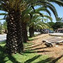 ���� Sheriff, ������� - ��������� 12 ������ 2013 � ������ �Costa del Sol ...�