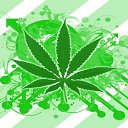 ���� ����, ������, 38 ��� - ��������� 2 ������ 2012