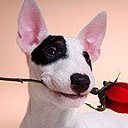 ���� ����, ������ ��������, 41 ��� - ��������� 12 ������� 2009 � ������ ������ ����