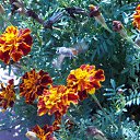 ���� ���������, ���������� - ��������� 22 ������� 2010 � ������ ������� � ��������...�