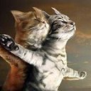 ���� ��������, ����������� ���� - ��������� 19 ������� 2012 � ������ �������