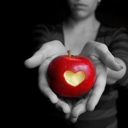 ����� ***, ������, 41 ���