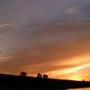 ���� ����, ��������, 45 ��� - ��������� 13 ������� 2011 � ������ �������