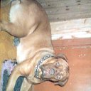 ���� Sanya, ��������, 39 ��� - ��������� 14 ������� 2012 � ������ ���� ����������