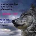  [ 100 ]Sanek, , 41  -  14  2011   