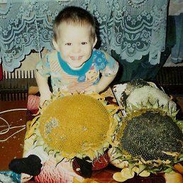 ���� ��������, ���������, 62 ���� - ��������� 15 ���� 2012