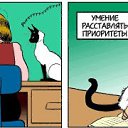 ���� ��������, ������, 35 ��� - ��������� 8 ������ 2011 � ������ ��������� ��������