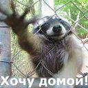 ���� �������, �����, 54 ���� - ��������� 12 ������ 2012 � ������ �������