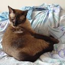 ���� ���������, ������ - ��������� 4 ���� 2013 � ������ ����� ��� ������������