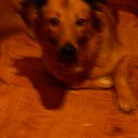 ���� ������� ������, ������� ���� �� ������������!, ������ - ��������� 26 ����� 2010 � ������ ���� �����