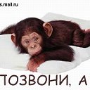 ���� �����, �����-���������, 57 ��� - ��������� 18 ����� 2010