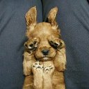 ���� Red, ������� - ��������� 16 ������ 2011 � ������ ���������������� :)�