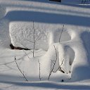 ���� ������, ��������� - ��������� 25 ������� 2010 � ������ �������� �������