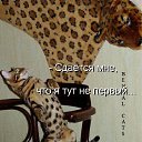 ���� ����, ������, 36 ��� - ��������� 27 ������ 2010 � ������ ������ � ������������