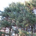 ���� �����, ������, 73 ���� - ��������� 5 ������ 2011 � ������ ������������ ����������