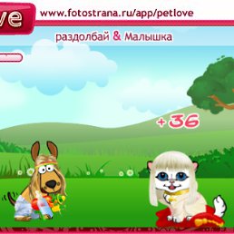 ���� ������, �����, 41 ��� - ��������� 10 �������� 2010