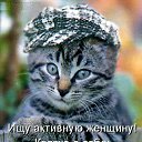 ���� �����, �����������, 62 ���� - ��������� 19 ������� 2012 � ������ ���� ����������