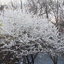���� ����, ������-��-���� - ��������� 26 ������� 2012 � ������ ���� ����������