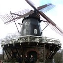 ���� Marijan, �������, 49 ��� - ��������� 16 ����� 2012 � ������ �AA�