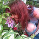 ���� ����, ������ - ��������� 15 ���� 2012 � ������ ���� ����������