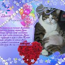 ���� �������, ���������, 49 ��� - ��������� 21 ��� 2012 � ������ ���� ����������