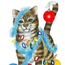 ���� ����� - ���������� ��������!!!, �����������, 56 ��� - ��������� 4 ������� 2009 � ������ �� ����� �����! �������Ȼ