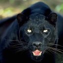 ���� ����, �������, 42 ���� - ��������� 12 ������� 2013 � ������ ���� ����������