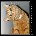 ���� �����, �������, 41 ��� - ��������� 20 ������ 2012 � ������ ���� ����������