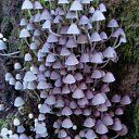 ���� ������, ����, 46 ��� - ��������� 25 ������ 2011 � ������ ���� ����������