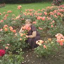 ���� ��������, ���������, 63 ���� - ��������� 22 ������� 2010