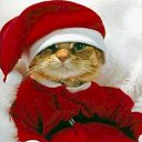 ���� �������, ���������, 49 ��� - ��������� 1 ������� 2011