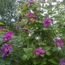 ���� �������, ������, 64 ���� - ��������� 27 ���� 2012 � ������ ���� ����������