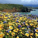 ���� ������, ������������ - ��������� 10 ������ 2013 � ������ ������ ��������