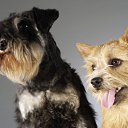 ���� �������, ���������� ����� - ��������� 3 ������ 2010 � ������ ���������