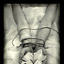 ���� ����), ���������� - ��������� 16 ������� 2009 � ������ �����