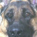 ���� Oksana, �����, 85 ��� - ��������� 3 ������� 2011 � ������ ���� ����������