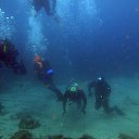 ���� ������, ������, 60 ��� - ��������� 4 ����� 2012 � ������ �� ������� ���������