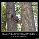 ���� �����, ������������� - ��������� 17 ����� 2010 � ������ �������������!!!�