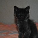 ��� �����, ������ ��� ����� �� ������� ���� ����������