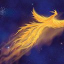 ���� Knoss, ������������, 26 ��� - ��������� 29 ������ 2010 � ������ �������� � �����