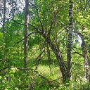 ���� ������, �������� - ��������� 16 ������� 2012 � ������ �������