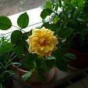 ���� Katkas, �������, 45 ��� - ��������� 5 ������ 2009 � ������ ���������