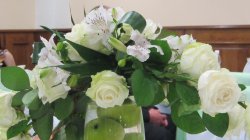 ���� ���, ���������, 23 ���� - ��������� 5 ������ 2011