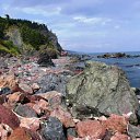 ���� N@tasha, ����������� - ��������� 29 ������ 2010 � ������ ���������