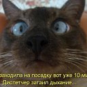 ���� Tanja Gavrilova, ������, 52 ���� - ��������� 27 ������� 2012 � ������ ���� ����������
