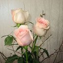 ���� Aleksandr, ���������, 46 ��� - ��������� 6 ����� 2010 � ������ ��������� ��������